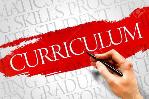 Curriculum Projects